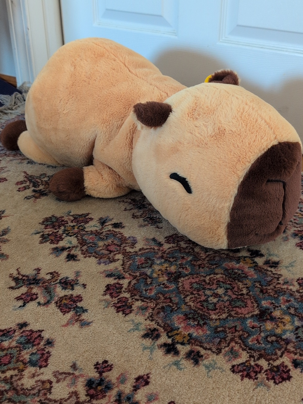NWT Soft Capybara Weighted Plushy - Picture 3 of 12